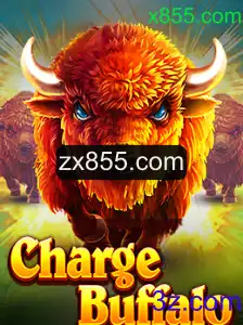Explorando o Mundo de ChargeBuffalo: Um Guia Completo